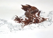 eagles_flight