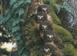 The Family Tree