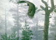 Shrouded Forest