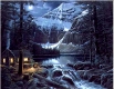 Starlit Wilderness