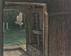 Barn Owl in Church