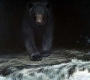 Big Black
