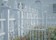 Colonial Garden