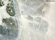 High Kingdom Snow Leopard