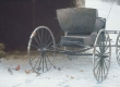 Old Buggy and Winter Birds