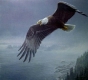 On The Wing