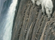 Sheer Drop Mountian Goats
