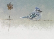 Winter Blues 