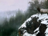 kingofthemountain
