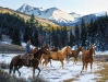 wherethesunshinesonthemountaintops